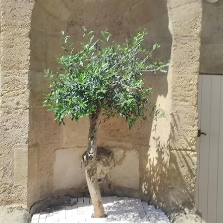 Neuf Centre Historique Apartment